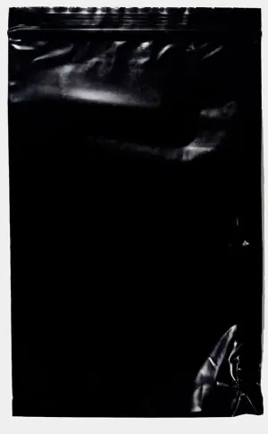 3" x 5" Black Reclosable Zipper Bags, 2 Mil Thickness, Durable & Reusable Design, Ideal for Jewelry, Craft Supplies, Hardware & Snacks, Pack of 100 - sku: r35bk-100