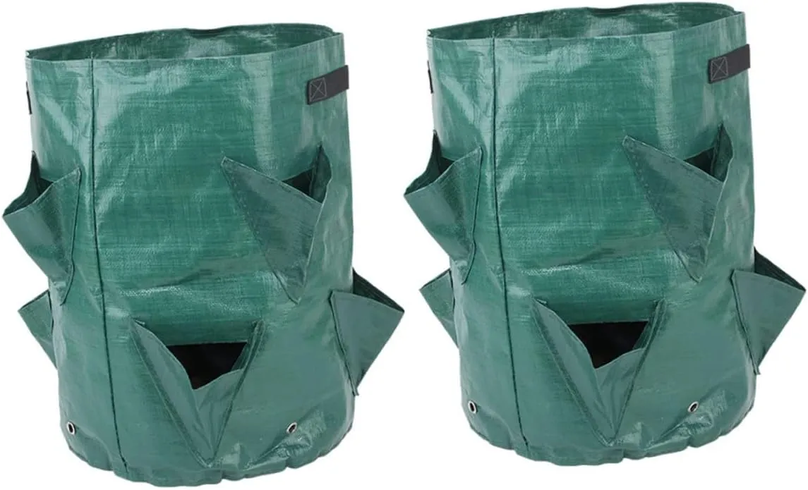 balacoo 2 Pcs Pe Plant Grow Bag Air-Permeable Strawberries Planter Lightweight Design
