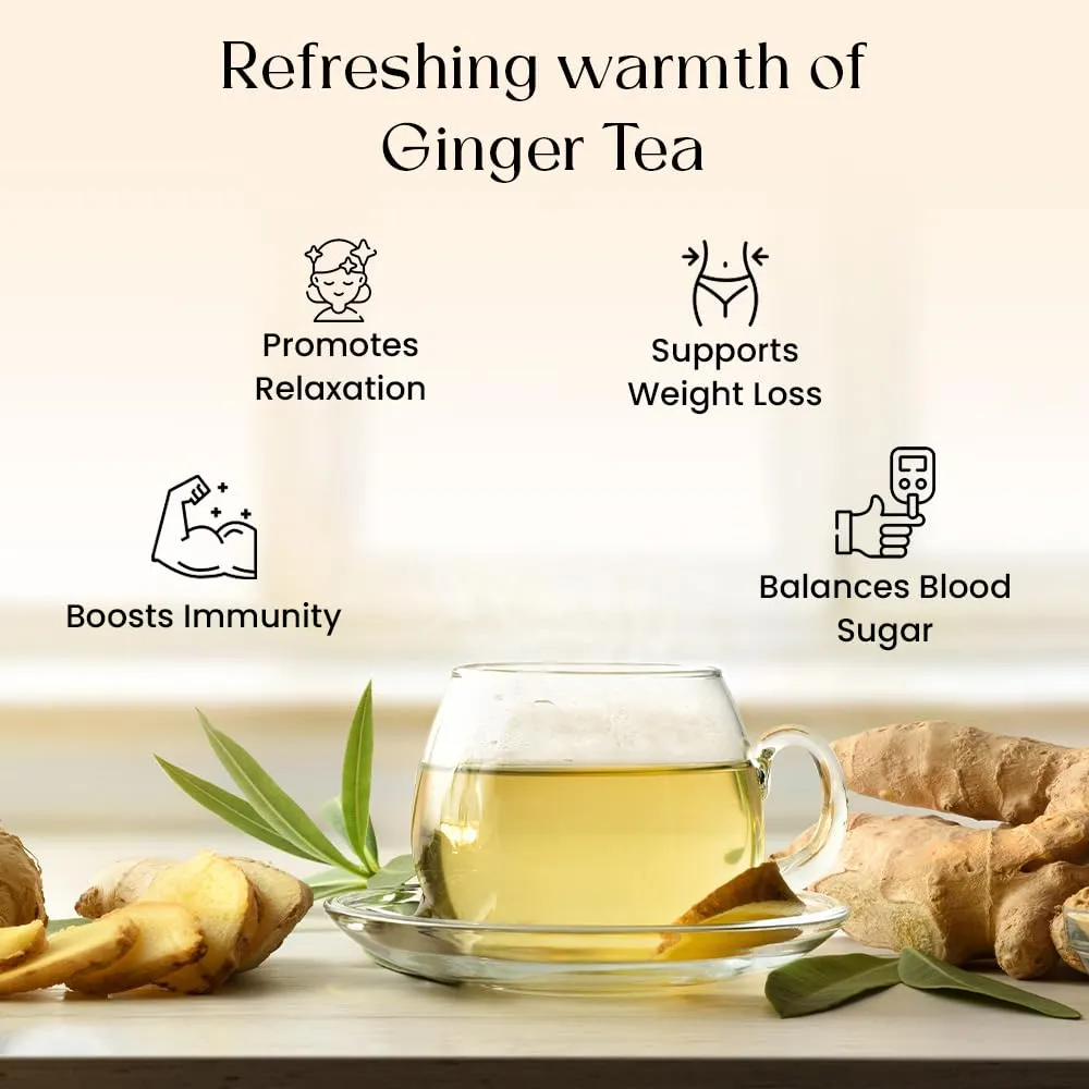 Blendart - Ginger Tea Bags, 100Teabags, 2g/bag - Premium Ginger Root Tea Bag - Warm & Spicy - Non-GMO - Caffeine-free - Support Digestion & Boost Immunity