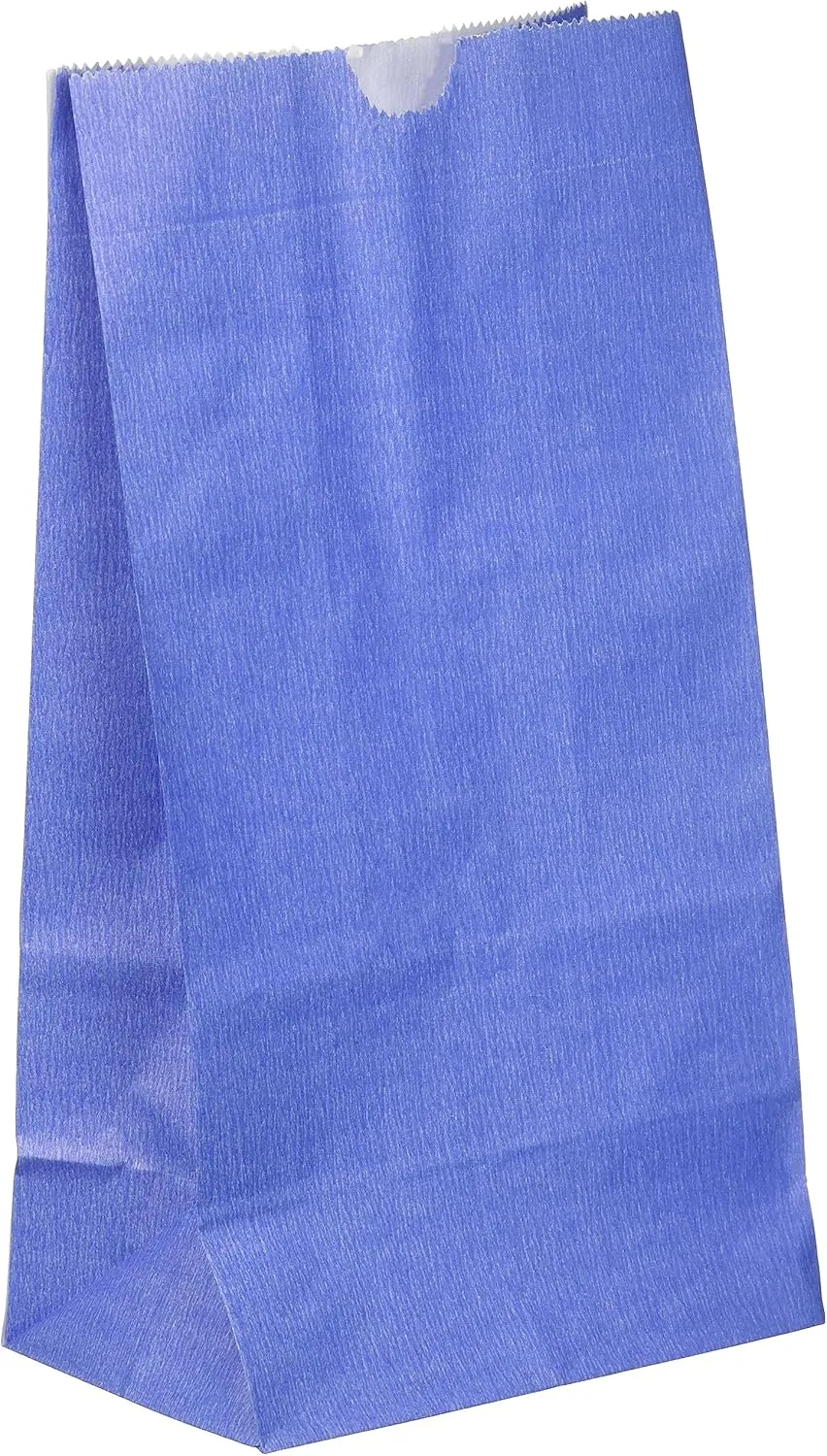 Blue Paper Bags, 4lb pack of 50