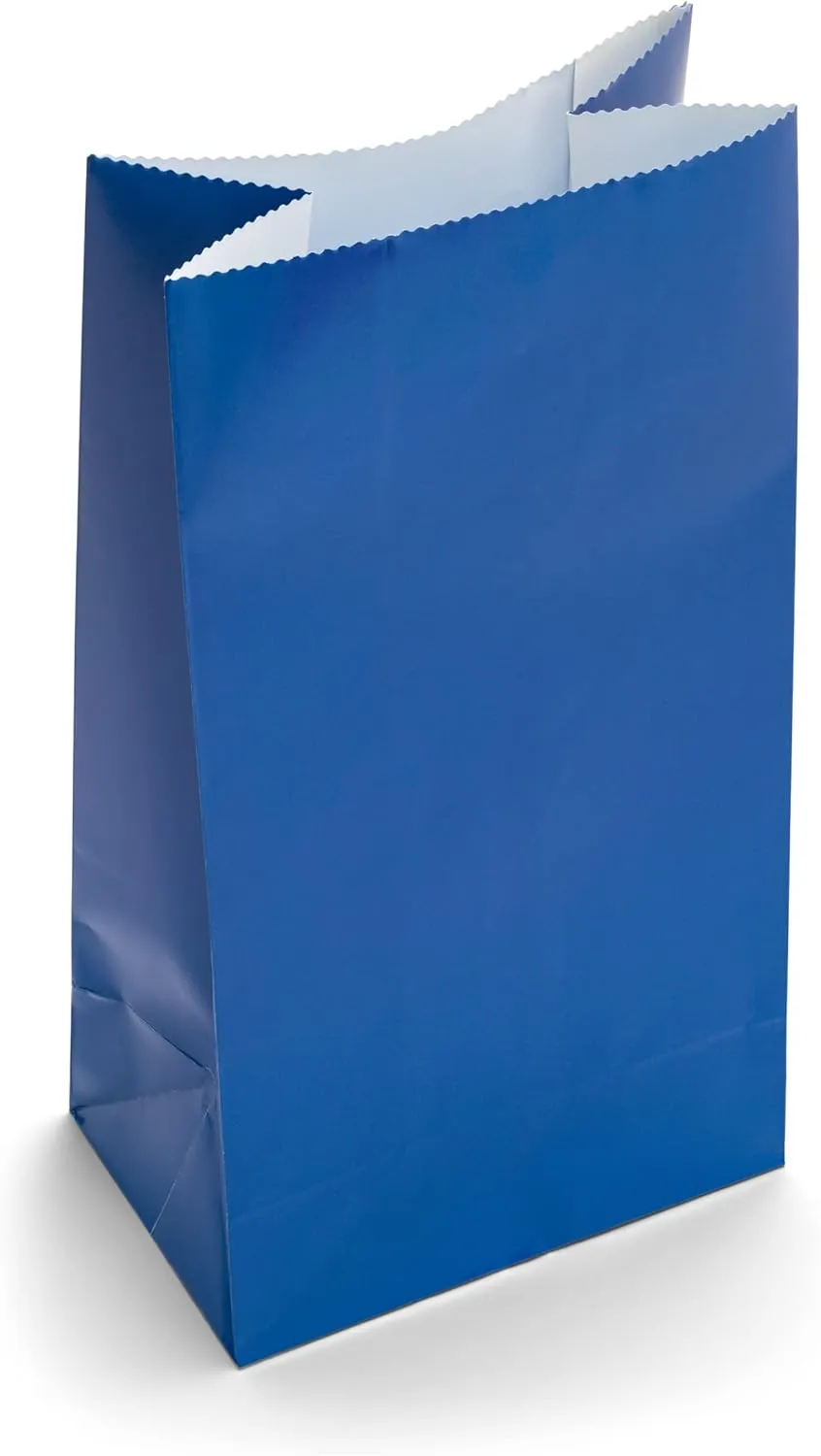 Blue Paper Bags, 4lb pack of 50