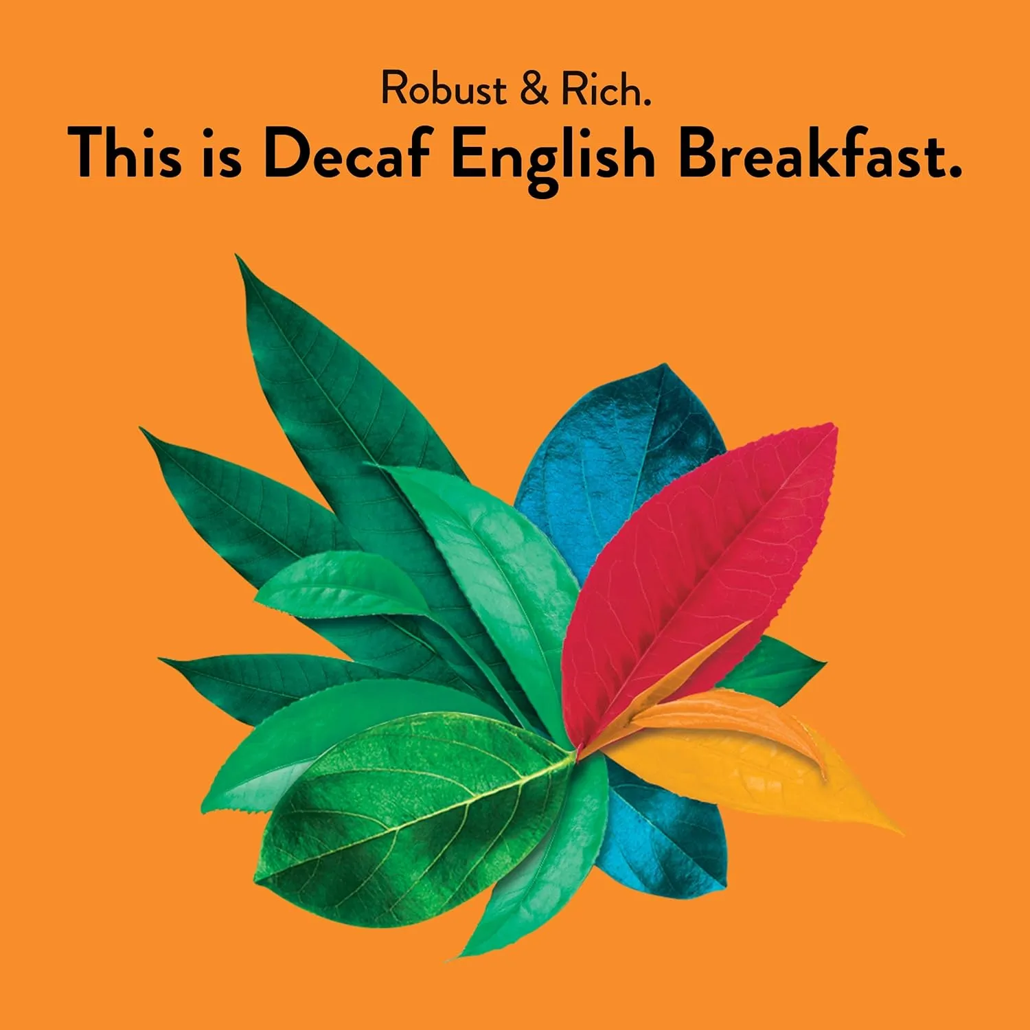 Choice Organics - Organic Decaffeinated English Breakfast Tea (6 Pack) - Fair Trade - Compostable - 96 Organic Black Tea Bags