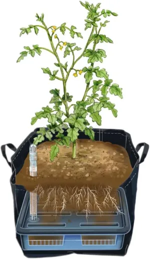 Gardener's Supply Company Self-Watering Grow Bag 22in | Permeable Fabric for Air Flow & Giant 5-Gallon Water Reservoir Keeps Plants Hydrated | 120 Quart Soil Capacity - Black