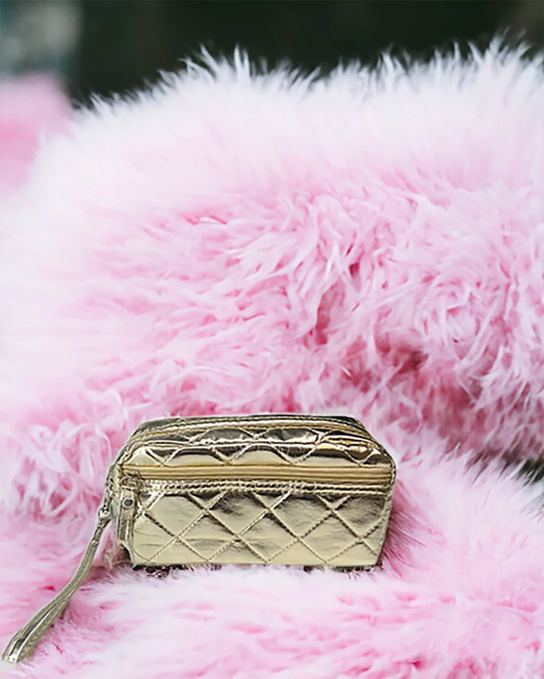 Makeup Bag 2060