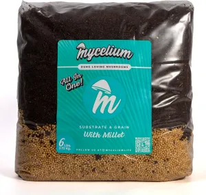 Mycelium Mushroom Growing Kit I CVG Substrate (Coco Coir, Vermiculite, Gypsum) with Millet Grain I High Yield Proprietary Mix I Sterilized Mushroom Grow Bag for Starter & Pro Home Growers, 6lbs