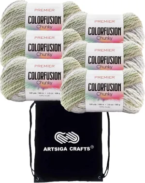 Premier Yarns Colorfusion Chunky Woodland 1174-10 (6-Skeins - Same Dye Lot) Chunky Bulky #5 Acrylic Yarn for Crocheting and Knitting with Project Bag