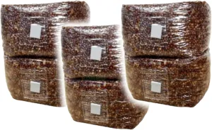 Premium 3lb Grain Spawn Bag x2-100% Sterile, Hydrated Grains with Self-Healing Injection Port, 0.2 Micron Patch for Growing Mushroom- Ready to Use (18lbs)