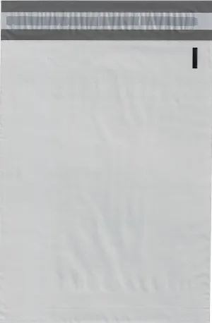 Valuemailers 100-10x13PM 2.5 Mil Poly Mailers Envelopes Bags, 10x13-inch, 100 Bags, White